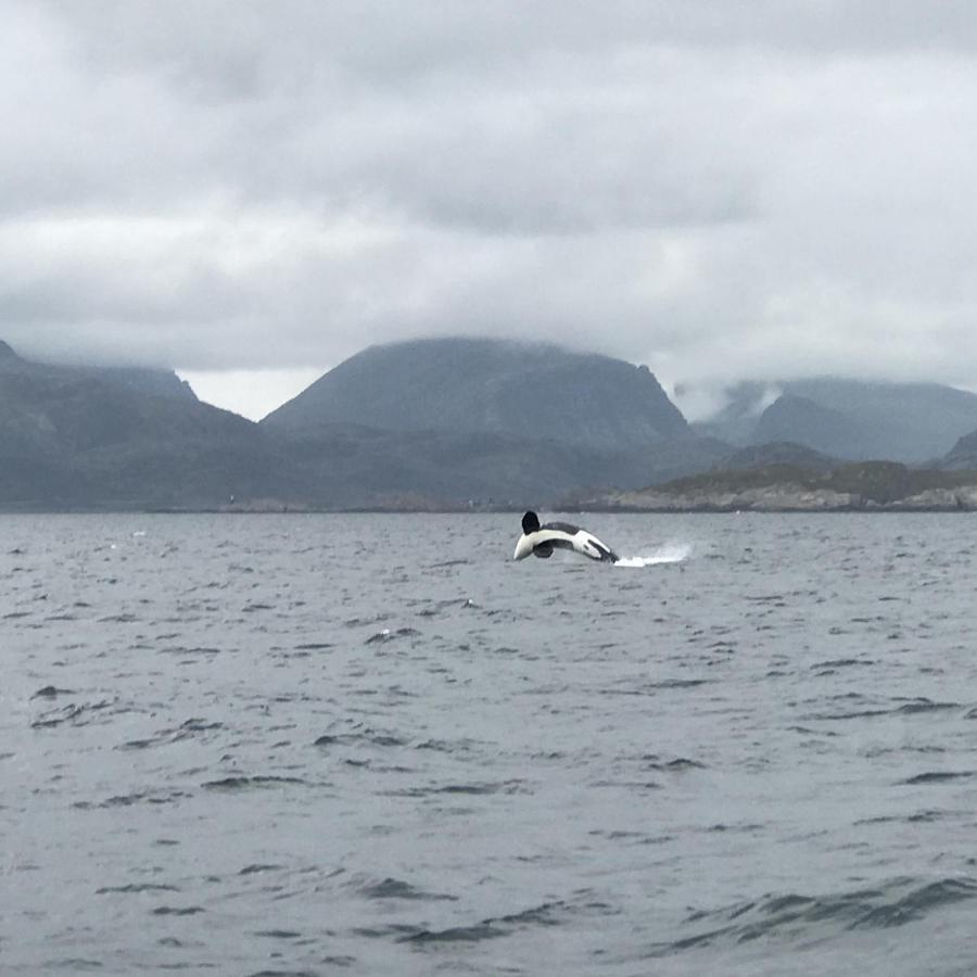 Fishermans Rorbu 2 - Lofoten 람베르그 외부 사진